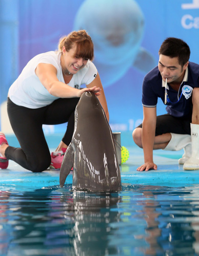 项艺术与竞 项艺术与竞