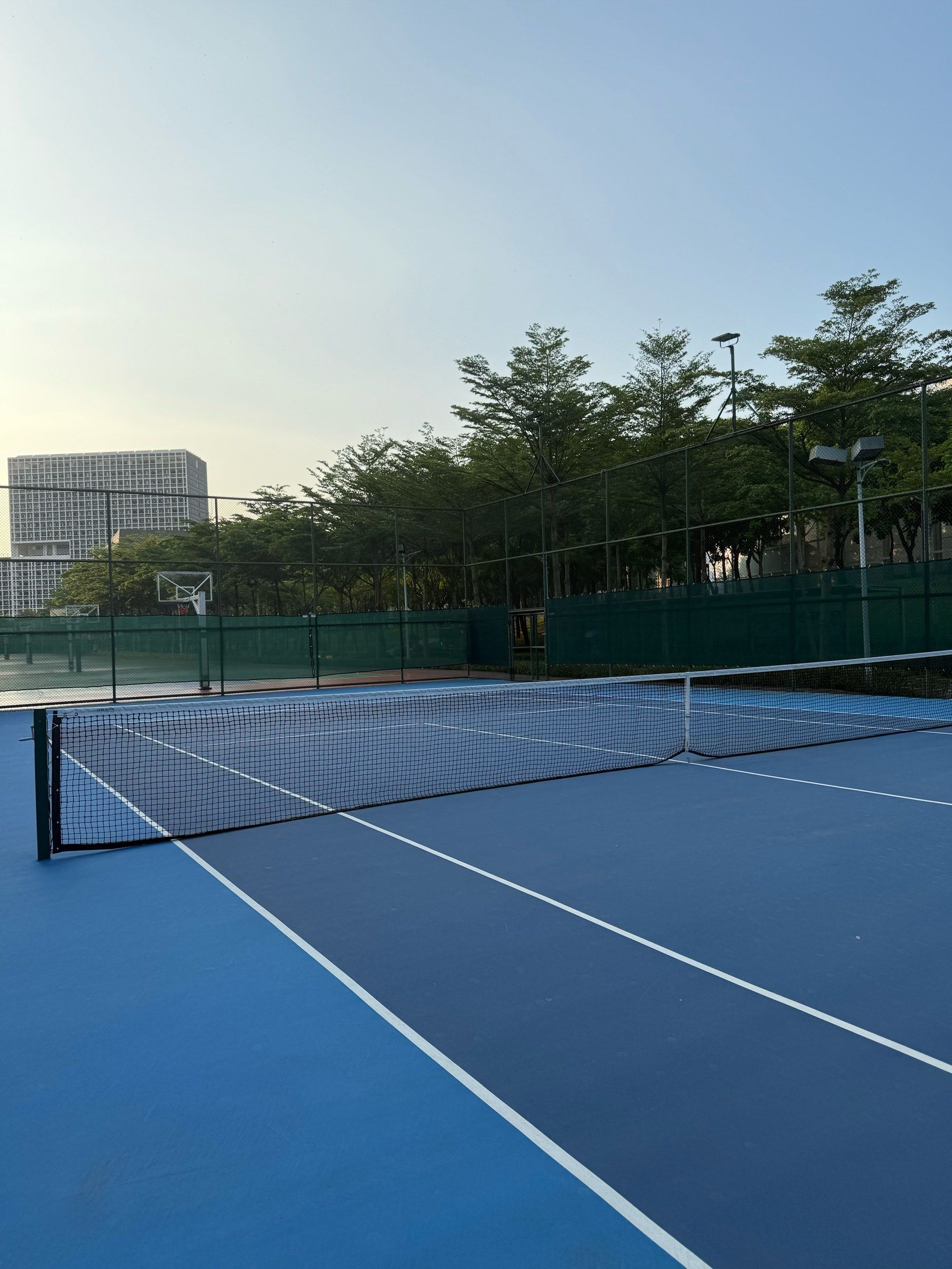 但她已展现 但她已展现