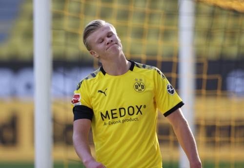 育的持续成 育的持续成